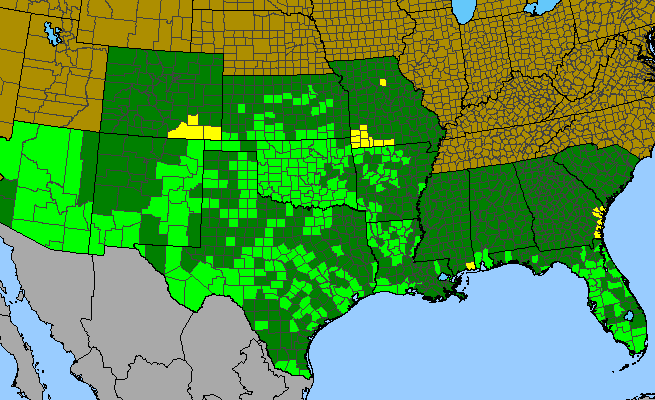The range of Sapindus saponaria